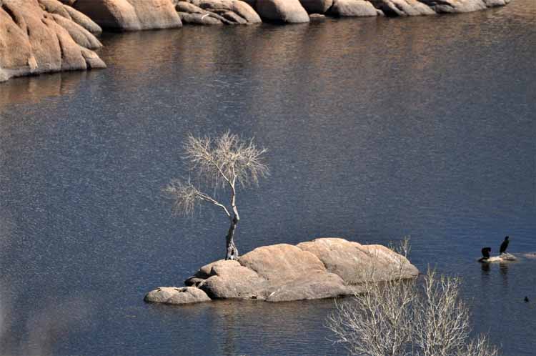 water and boulders